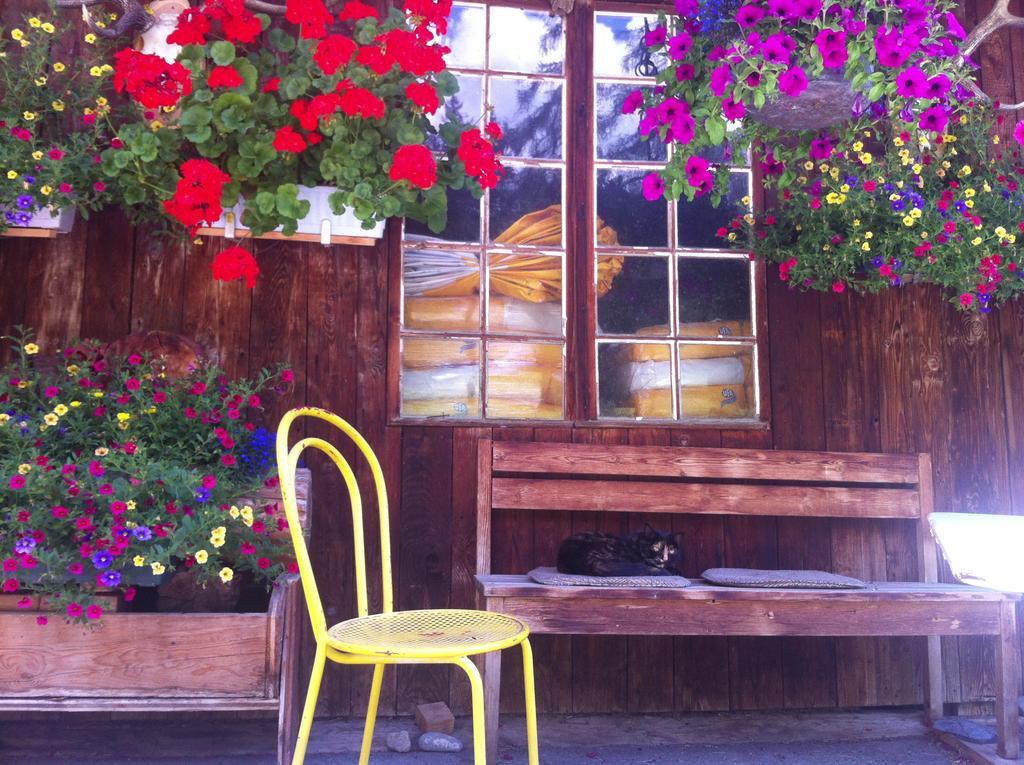 Bnb Guesthouse Lusi Frauenkirch Exterior foto